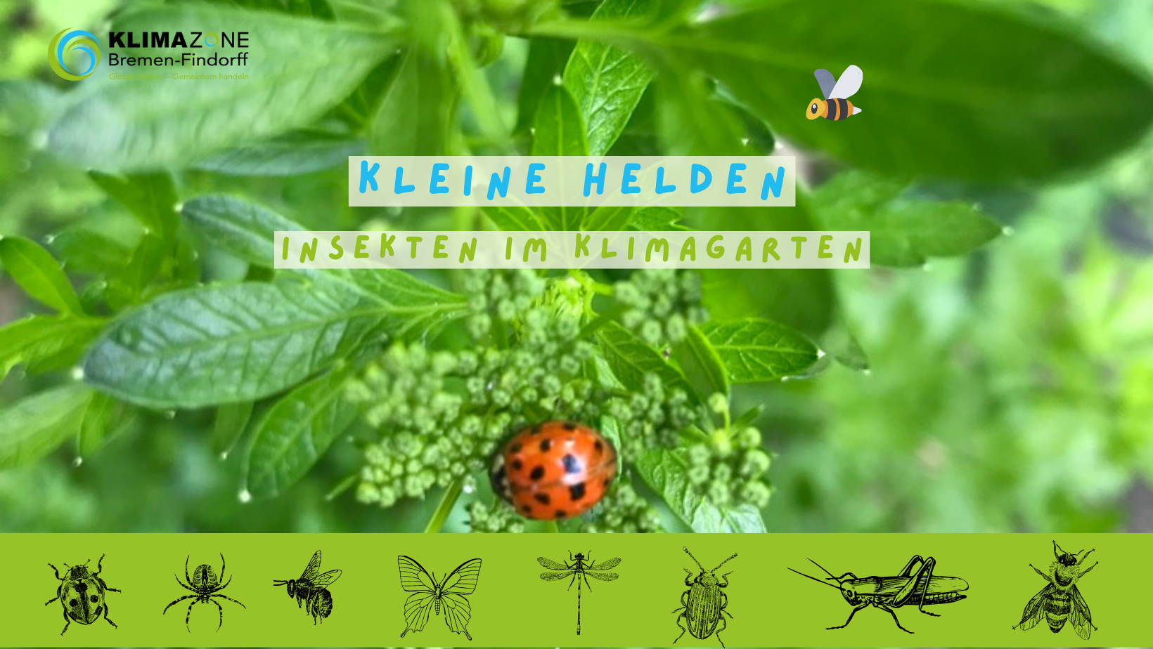 Read more about the article Wir bauen einen Insektengarten
